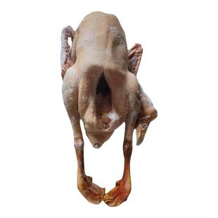 东北整只大鹅农村散养大笨鹅现杀现发新杀粮食散养白鹅之乡原产地