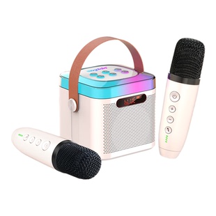 便携蓝牙家庭ktv无线麦克风高音质全民k歌神器手机电视卡拉OK