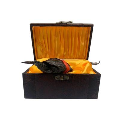 纯种全黑顶墨龟长寿观赏宠物乌龟