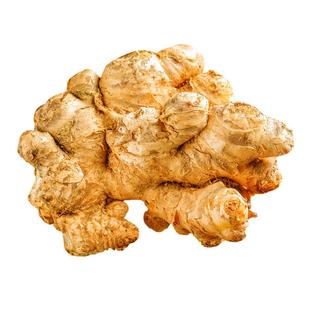 精选小黄姜云南小黄姜生姜嫩姜高山现挖老黄姜非老姜姜姜母10包邮