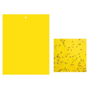 黄板双面粘虫板诱虫板大棚蓝板蓟马果树果园果蝇诱粘剂沾虫小黑飞