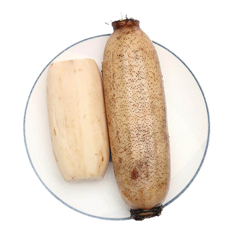 湖北特产沔城汤藕新鲜粉藕煲汤藕