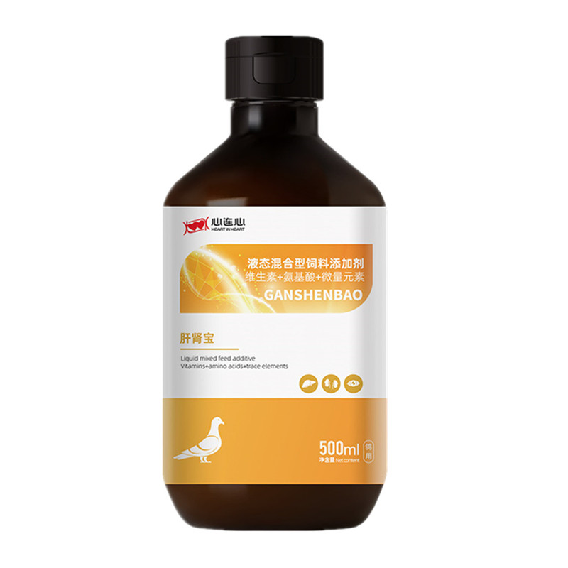 心连心肝肾宝赛鸽鹦鹉营养肝精液