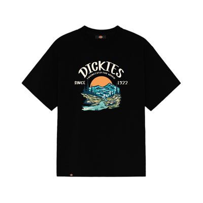 Dickies夏季山川河流印花短袖T恤