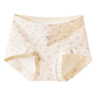 帕兰朵平角女士内裤纯棉2026新款全棉抗菌裆全包臀少女生四角短裤