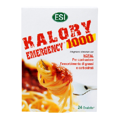 ESI卡路里拜拜片热控片