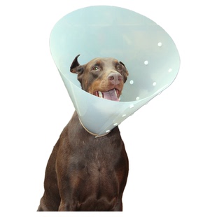 杜宾先生狗狗伊丽莎白圈塑料按扣型防咬圈伤口恢复防舔宠物猫用品