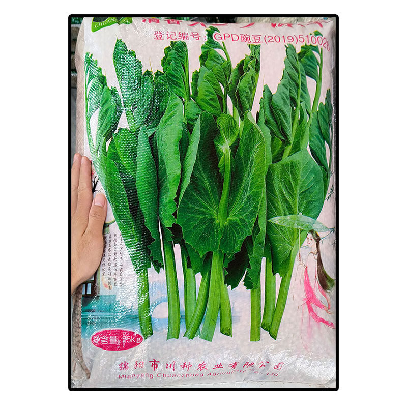 朱砂绿翠25kg豌豆苗尖蔬菜种子