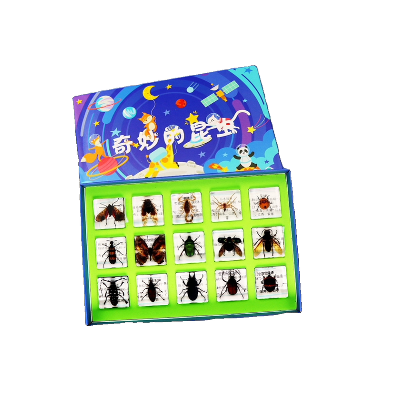 儿童幼教科普教学昆虫标本海洋生物动物蜈蚣蜻蜓蝴蝶龙虱天牛甲虫