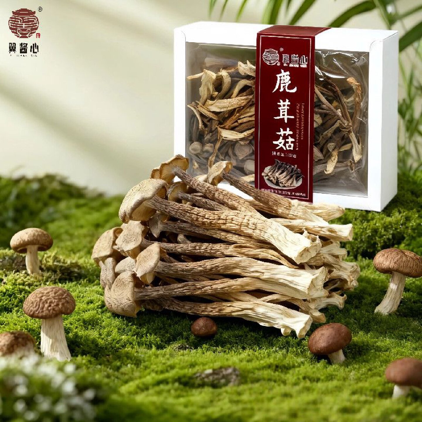 鹿茸菌净重新货干货礼盒火锅正宗鹿茸菇新鲜送礼煲汤食材批发家用
