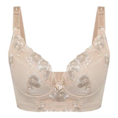 莱特妮丝时尚刺绣调整型内衣