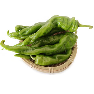 辣椒种子螺丝陇椒辣椒种籽线椒春夏秋蔬菜种孑四季特大南北方高产