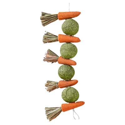 磨牙零食草饼甜竹玩具苹果枝磨牙