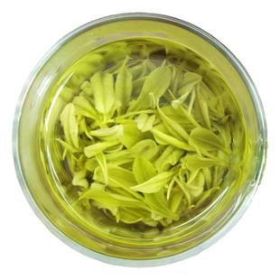 2025安徽郎溪姚村茶叶新茶明前安吉白茶品种白化高山绿茶花香鲜甜