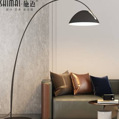 钓鱼灯落地灯北欧后现代简约客厅沙发灯轻奢创意书房卧室立式台灯
