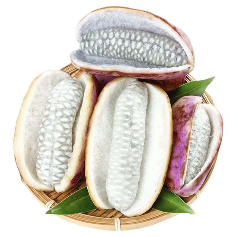 野生八月瓜新鲜当季现摘八月炸香瓜罕见稀有网红水果牛卵坨预知子