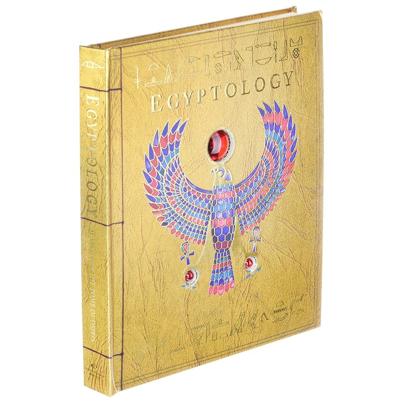 英文原版 精装 Egyptology: Search for the Tomb of Osiris 埃及学：寻找奥西里斯之墓 儿童读物 英文版