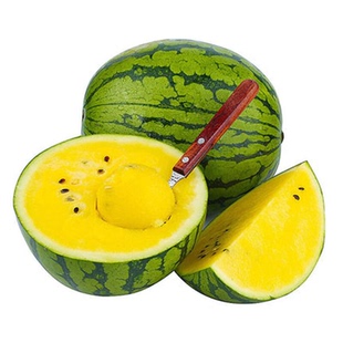 黄瓤西瓜特小凤西瓜新鲜脆甜黄心皮薄多汁当季水果脆甜可口