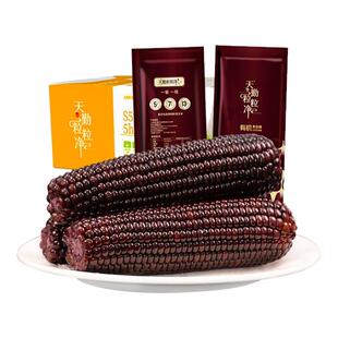 天勤粒粒净25年新鲜有机黑糯玉米铝箔装甜粘苞新鲜玉米棒早餐即食