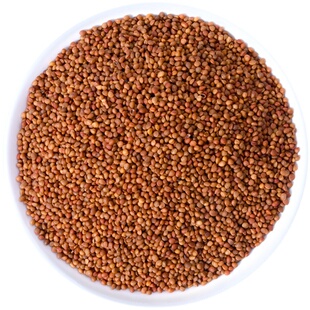 楮实子500g中药材正品褚实子中药楮实米威灵仙诸实子粉批发非野生