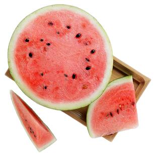 上海南汇正宗8424西瓜黑籽头茬原苗脆甜薄皮多汁新鲜水果麒麟瓜