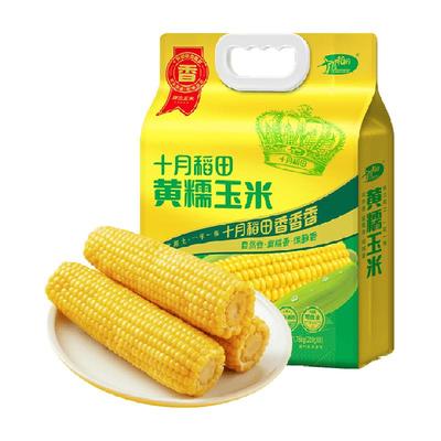 十月稻田黄糯玉米低脂早餐