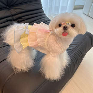 宠物夏季 透气比熊马尔济斯狗狗猫咪衣服 吊带裙子蛋糕裙夏天轻薄款