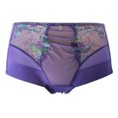 戴芝蒂专柜正品无痕收腹性感内裤