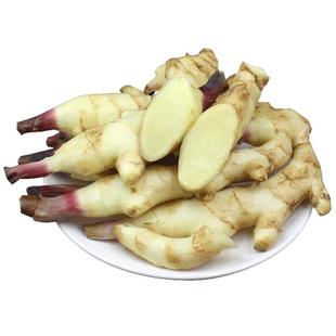 云南大理现挖辛辣红芽姜5斤仔姜生姜鲜嫩姜新鲜姜芽做泡糖醋9