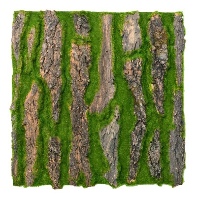 太实用了自粘胶树皮包管道柱子