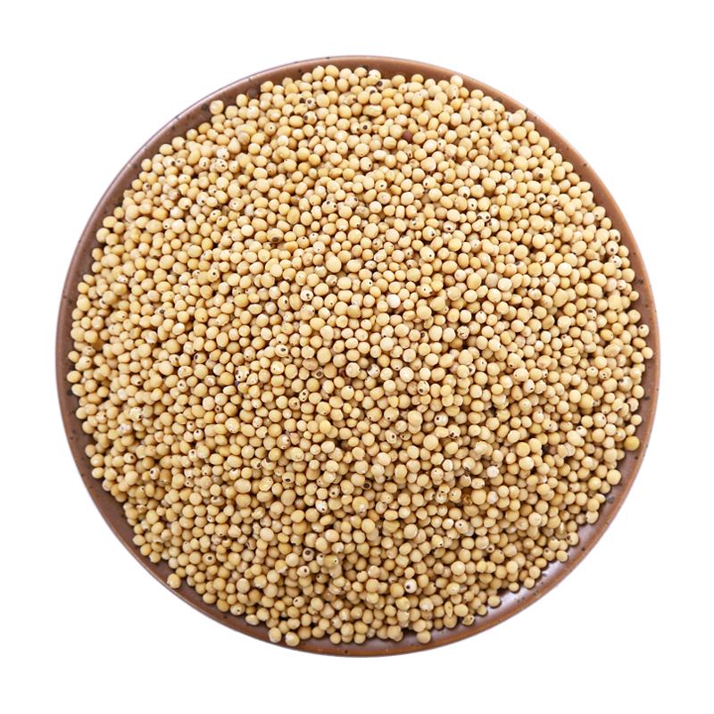 白芥子中药材500g炒白芥子粉辣菜籽生白介子外敷另售莱菔子紫苏子
