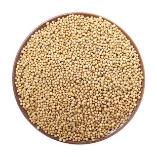 炒白芥子中药材500g白芥子粉辣菜籽生白介子外敷另售莱菔子紫苏子