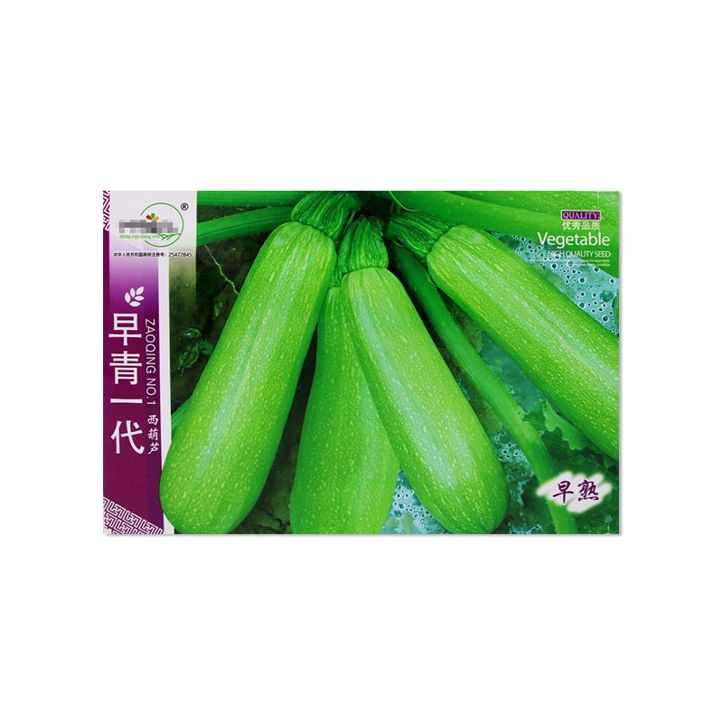 中研盛优早青一代西葫芦种子