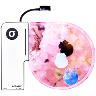 水母活体专业水母缸鱼缸水族箱彩色水母开放式可DIY家庭水母缸B1