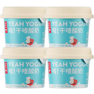 乐纯冷萃干噎希腊酸奶100g*4杯尝鲜装限糖低温酸奶 百亿活菌