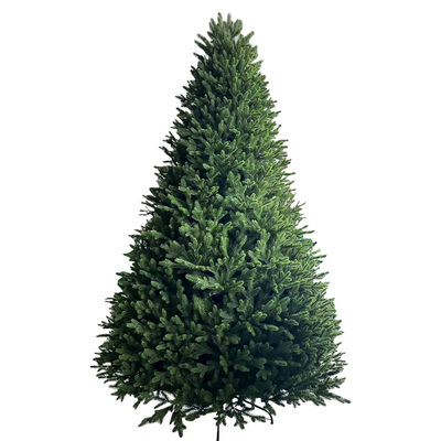 高档纯PE圣诞树弘信美陈