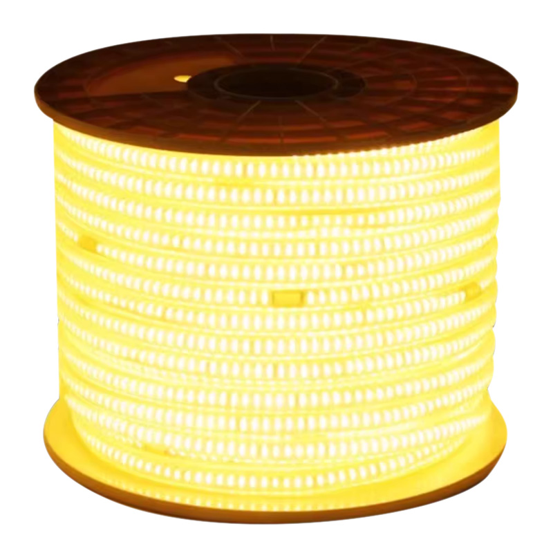 灯带led三色变光灯条家用220v变色客厅吊顶长条防水灯带条霓虹灯