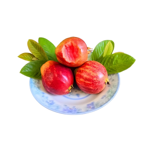 水果种子/种苗