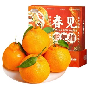 四川春见耙耙柑礼盒装官方旗舰店6/12枚新鲜水果礼盒现摘发货橘子
