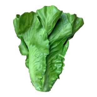 仿真水果蔬菜生菜模型家居厨柜家居摄影道具绿色生菜叶子摆件包邮