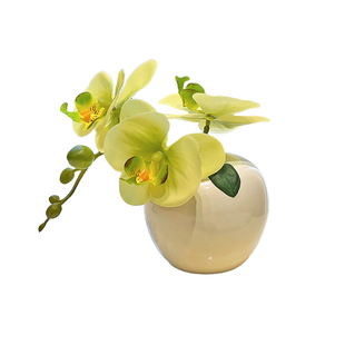 迷你小花精致蝴蝶兰仿生花假花仿真花摆设洗手台玄关装饰绢花摆件