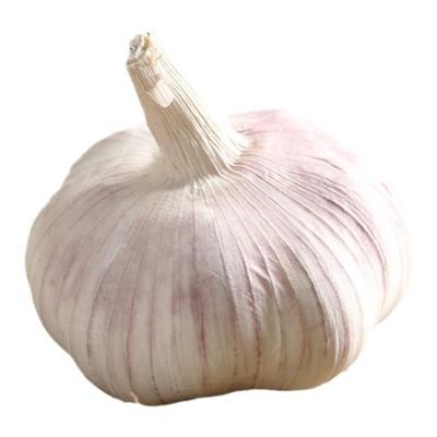 新鲜干大蒜头5斤当年当季干蒜新蒜农家自种红紫白皮大蒜香河南10