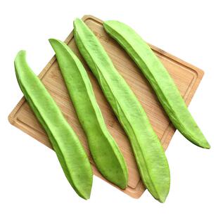 大刀豆种子早熟巨型大豆角王架豆孑巴西豆刀巴豆四季盆栽豆角种子