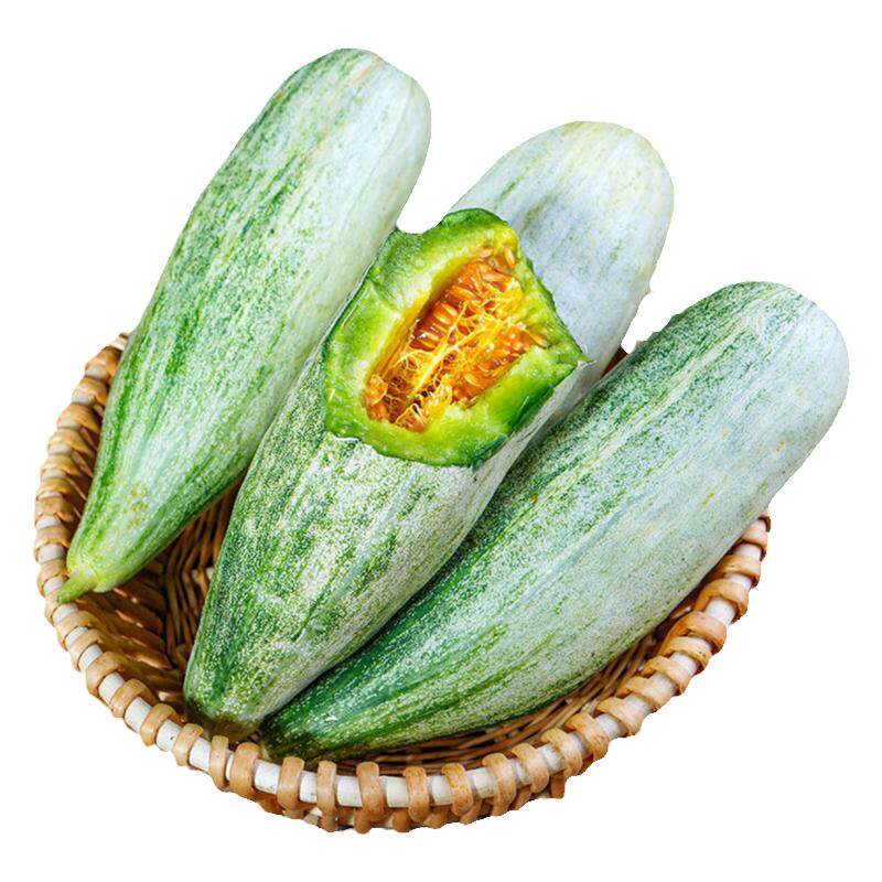 山东花皮脆羊角蜜甜瓜种子