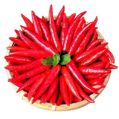 新鲜小米辣椒力荐5斤整箱包邮