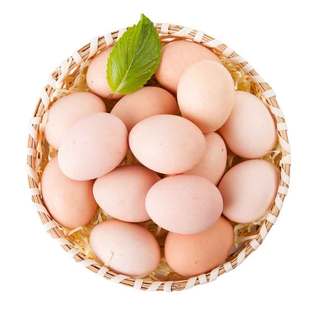 农家果园散养新鲜土鸡蛋生鸡蛋柴鸡蛋草鸡蛋笨鸡蛋15枚整箱包邮