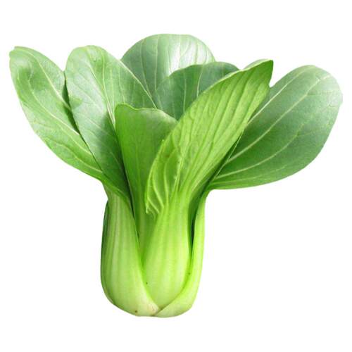 上海青种籽一斤四季播小青菜小油菜白菜种籽高产阳台盆栽蔬菜种孓