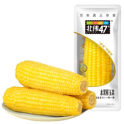 北纬东北黑龙江鲜食玉米