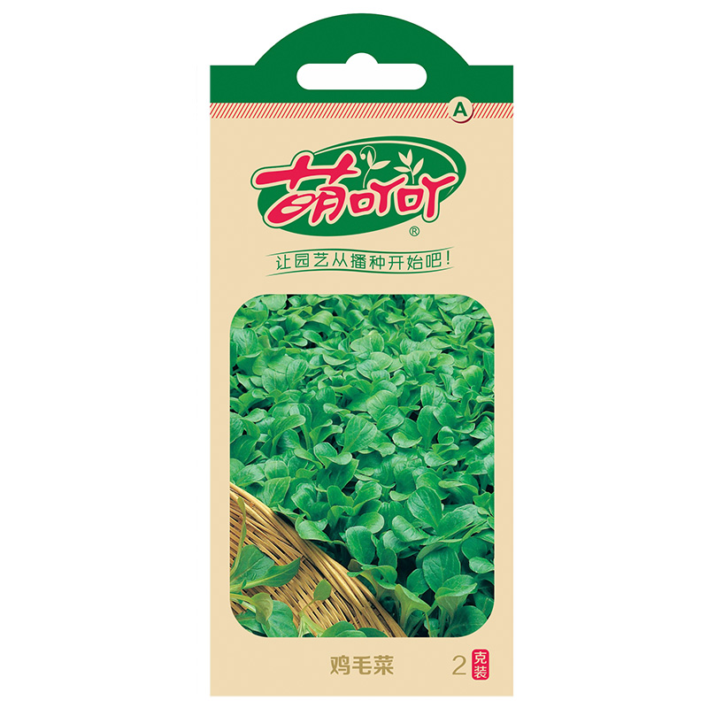 虹越萌吖吖蔬菜种子青菜油麦菜木耳菜菠菜苋菜茼蒿空心菜西芹阳台