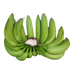 广东高州曹江香蕉茂名高脚遁地雷本地蕉香蕉3/5/10斤新鲜香焦